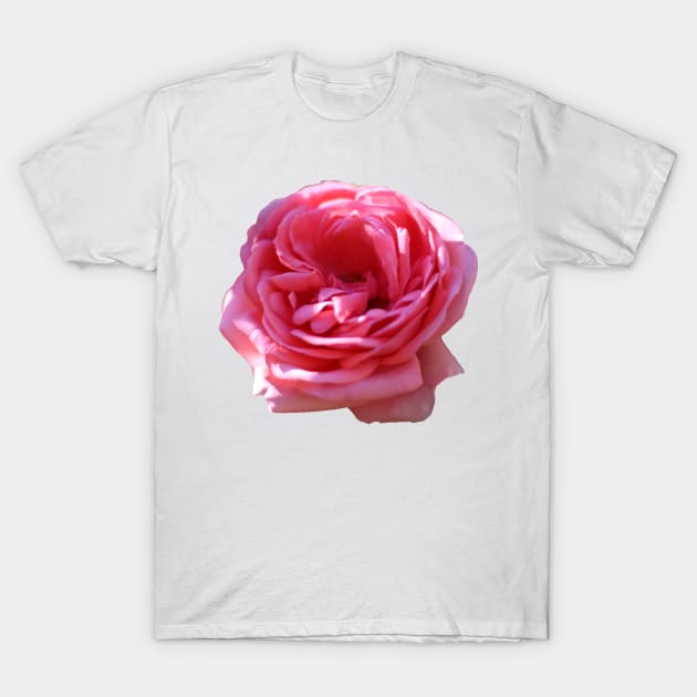 flower T-Shirt by rickylabellevie